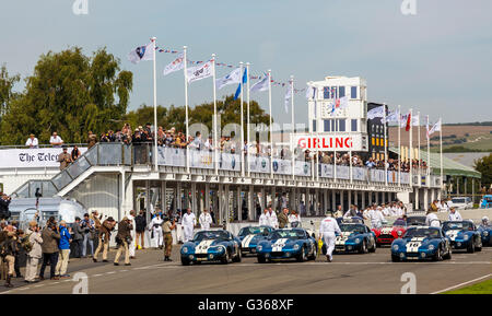 La Shelby Cobra Daytona Coupé Parade sur la grille au Goodwood Revival 2015, Sussex, UK. Banque D'Images