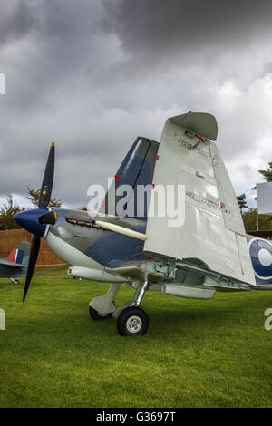 1944 Spitfire MKIII Westland Seafire avec les ailes repliées pour porte-avions Service au 2015 Goodwood Revival, Sussex, UK Banque D'Images