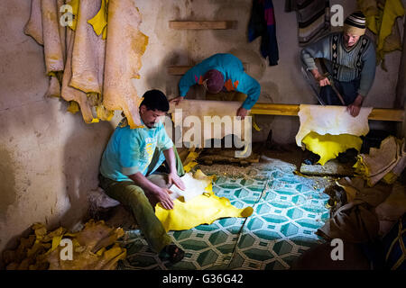 Fes, Maroc - 11 Avril 2016 : l'homme arbre travaillant dans une tannerie dans la ville de Fès au Maroc. Banque D'Images