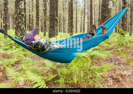 Mature female hiker relaxing in hammock en forêt de pins. Utilisations possibles : backpacker/retraite/Aventure/économies,Shinrin Yoku (forêt) Baignade... Banque D'Images