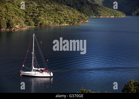 Un yacht reflète le service d'un taxi de l'eau adopté au Punga Cove, Queen Charlotte Track, Marlborough Banque D'Images