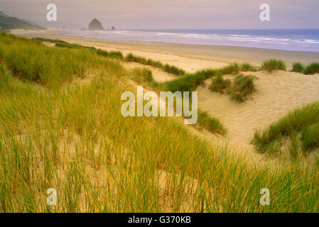 Haystack rock Cannon Beach Oregon Banque D'Images