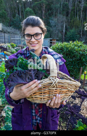 Jeune femme avec un panier avec trois différentes variétés de choux récoltés dans un petit jardin de marché à Hobart, Tasmanie Banque D'Images