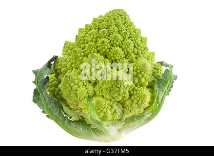 Le chou Romanesco iolsted sur fond blanc Banque D'Images