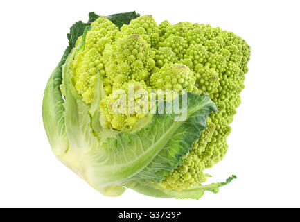 Le chou Romanesco iolsted sur fond blanc Banque D'Images