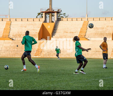 Gervinho (2e R) de l'équipe nationale de football de la Côte d'Ivoire surnommé les éléphants (les éléphants), Côte d'Ivoire, Afrique du Sud Banque D'Images