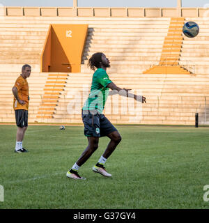 Gervinho de l'équipe nationale de football de la Côte d'Ivoire surnommé les éléphants (les éléphants), Côte d'Ivoire, Afrique du Sud Banque D'Images