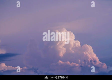 Un nuage Cumulus bourgeonnant dans ciel du soir sur Oklahoma City, Oklahoma, USA. Banque D'Images