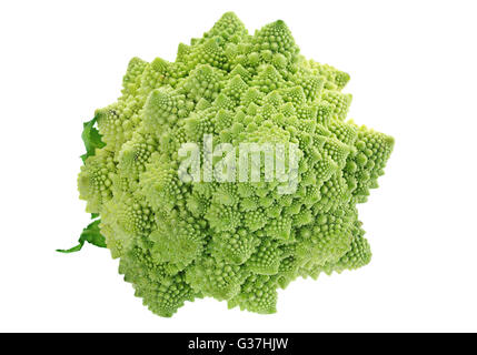 Le chou Romanesco iolsted sur fond blanc Banque D'Images