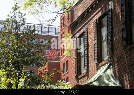 Quartier de Brooklyn Heights, Brooklyn, New York, USA Banque D'Images