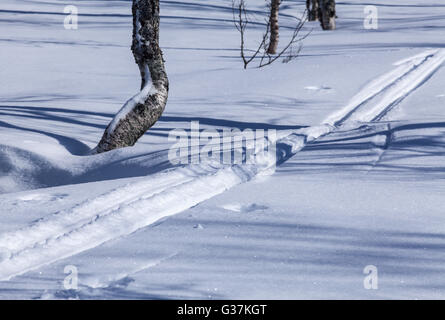 Les pistes de ski de fond sur un flanc de montagne. La neige fraîchement tombée et le soleil. Les arbres et les ombres dans l'arrière-plan. Banque D'Images