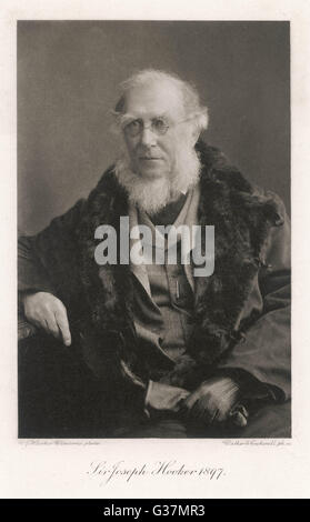 Sir Joseph DALTON HOOKER naturalist Date : 1817 - 1911 Banque D'Images