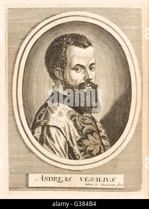 ANDREAS VESALIUS anatomiste flamand Date : 1514 - 1564 Banque D'Images