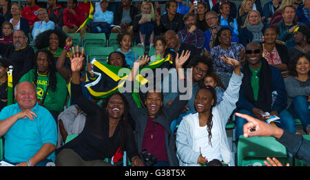 Oslo, Norvège. 09Th Juin, 2016. Diamond League Bislett Games. Fans profiter de l'ambiance au cours de la Ligue de diamant de l'IAAF tenue à Exxon Mobil Bislett Games d'Oslo, Norvège. Credit : Action Plus Sport/Alamy Live News Banque D'Images