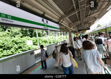 Tokyo, Japon. 10 Juin, 2016. Les passagers à la Station Harajuku le 10 juin 2016, Tokyo, Japon. East Japan Railway Co. a annoncé le 8 juin prévoit de reconstruire la vieille de presque siècle Harajuku Station avec l'ensemble du projet d'être achevé à temps pour les Jeux Olympiques de 2020. L'actuelle structure en bois est considéré comme le plus ancien bâtiment de la gare en bois à Tokyo et a été construit en 1924 avec un style architectural européen, et la nouvelle station sera plus grande avec une plate-forme supplémentaire et une nouvelle porte sur le côté ouest. Il n'a pas encore été décidé si l'ancienne structure seront également conservées dans le cadre du proj Banque D'Images