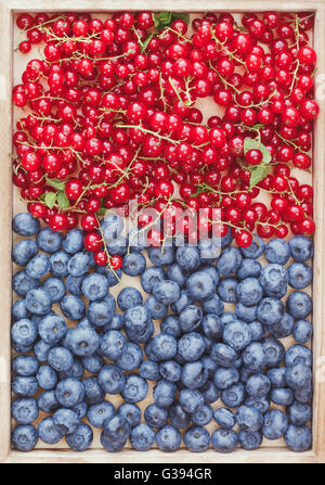 Un assortiment de petits fruits. Groseilles rouges et les bleuets frais sur le plateau en bois, vue d'en haut Banque D'Images