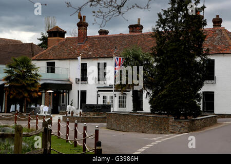 Surrey England Frensham Pond Hotel Banque D'Images