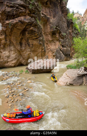 Zion Narrows pagayer dans Zion National Park, Utah. Banque D'Images