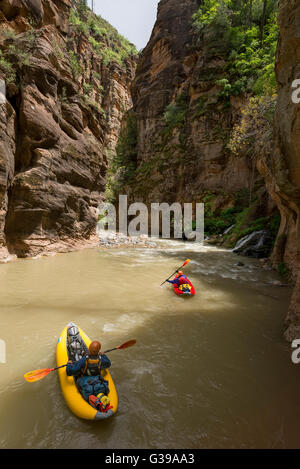 Zion Narrows pagayer dans Zion National Park, Utah. Banque D'Images