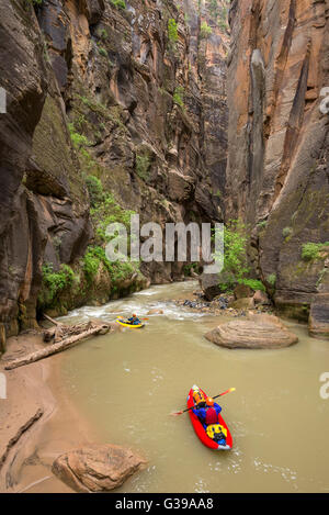 Zion Narrows pagayer dans Zion National Park, Utah. Banque D'Images