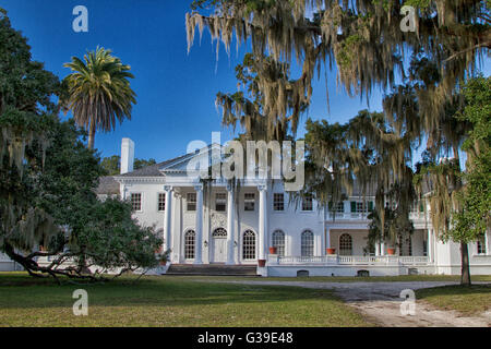 Verger de pruniers manoir sur Cumberland Island National Seashore en Géorgie. Banque D'Images