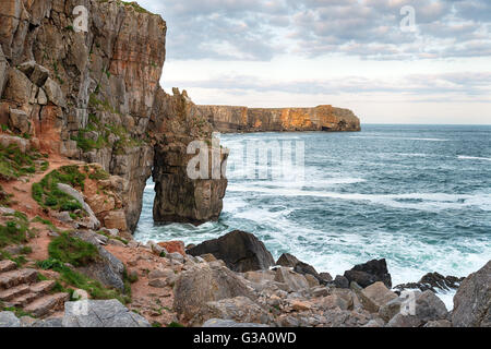 La côte rocheuse au St Govan's Head sur la côte du Pembrokeshire au Pays de Galles Banque D'Images