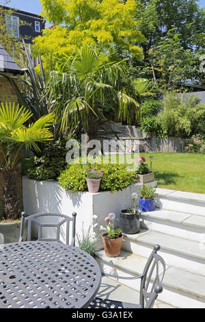 Patio et étapes menant à un jardin arrière Londres isolée, dotée de grandes plantes architecturales d'evergreen. Table et chaises. Banque D'Images