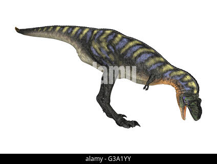 Le rendu 3D d'un dinosaure Aucasaurus isolé sur fond blanc Banque D'Images