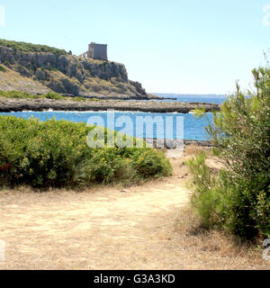 Vue sur la Tour de Porto Selvaggio, Salento (Pouilles, Italie) Banque D'Images