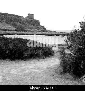 Vue sur la Tour de Porto Selvaggio, Salento (Pouilles, Italie) Banque D'Images