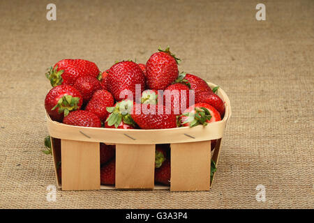 En bois, en osier panier plein de fruits rouges moelleux fraises d'été sur fond de toile de jute jute, side view Banque D'Images