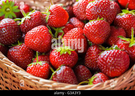 Très belle arrière-plan avec des fraises fraîches dans un panier en osier en forme de coeur en osier Banque D'Images