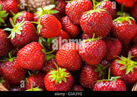 Très belle arrière-plan avec des fraises fraîches dans un panier en osier en forme de coeur en osier Banque D'Images