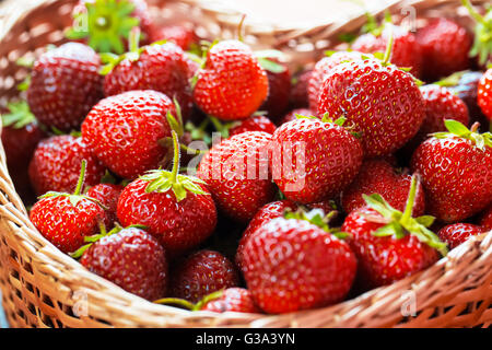 Très belle arrière-plan avec des fraises fraîches dans un panier en osier en forme de coeur en osier Banque D'Images