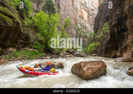 Zion Narrows pagayer dans Zion National Park, Utah. Banque D'Images