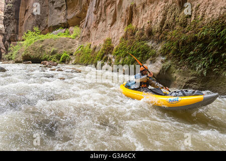 Zion Narrows pagayer dans Zion National Park, Utah. Banque D'Images