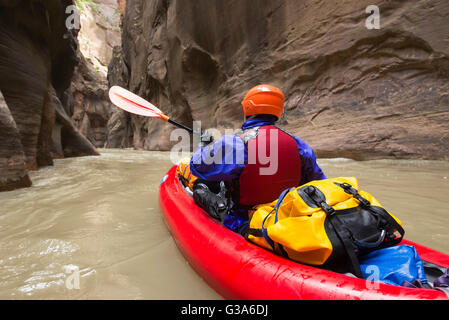 Zion Narrows pagayer dans Zion National Park, Utah. Banque D'Images