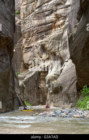 Zion Narrows pagayer dans Zion National Park, Utah. Banque D'Images