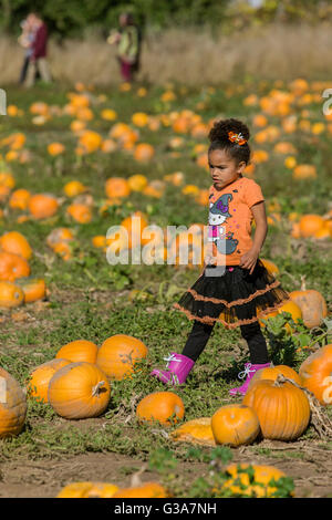 Jeune fille profitant d'une promenade dans un potager à la Maison Blanche Gorge Stand de fruits près de Hood River, Oregon, USA. Banque D'Images