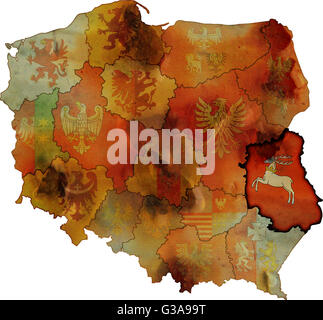 Grunge carte des provinces en pologne avec lubelskie plus visible Banque D'Images