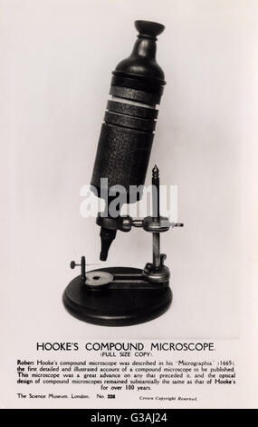 Microscope de Robert Hooke Banque D'Images