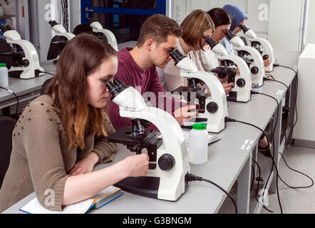 Les étudiants dans un cours de microscopie de l'université DUE Banque D'Images