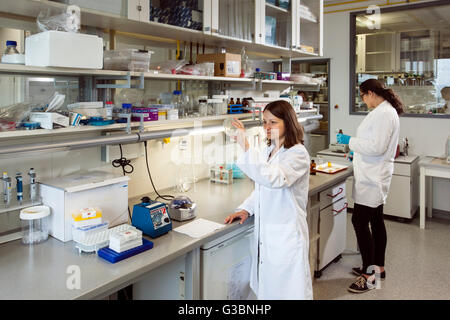 Les biologistes considèrent les cultures dans une boîte de Petri. Banque D'Images