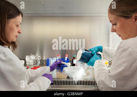 L'isolement de l'ARN dans un laboratoire de génétique. Banque D'Images