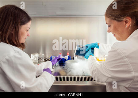 L'isolement de l'ARN dans un laboratoire de génétique. Banque D'Images