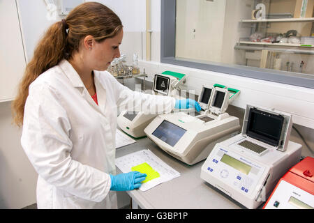 Biologiste dans le laboratoire de l'université Banque D'Images