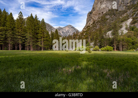 Meaodow Zumwalt et Mont Gardiner dans le Parc National Kings Canyon Banque D'Images