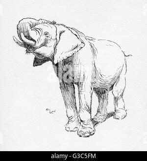 Illustration par Cecil Aldin, l'éléphant Banque D'Images