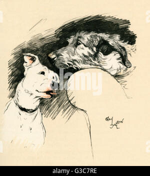 Illustration par Cecil Aldin, Micky et Cracker Banque D'Images