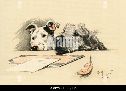 Illustration par Cecil Aldin, Micky et Cracker Banque D'Images